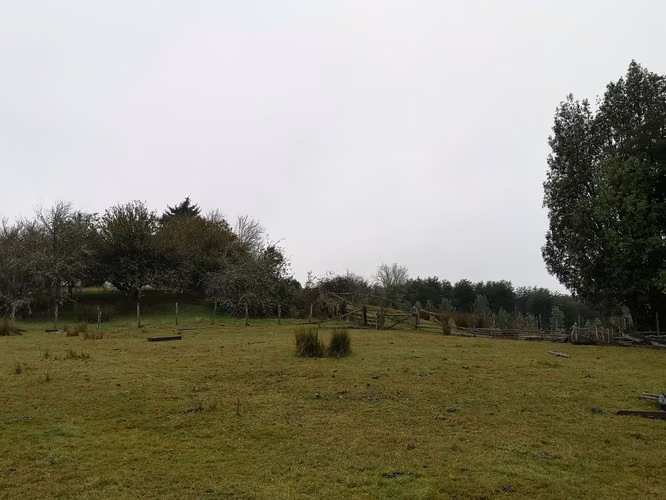 ¡Últimos 3 lotes con electricidad en Costa Los Navegantes, Chiloé