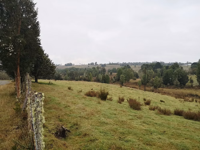 ¡Últimos 3 lotes con electricidad en Costa Los Navegantes, Chiloé