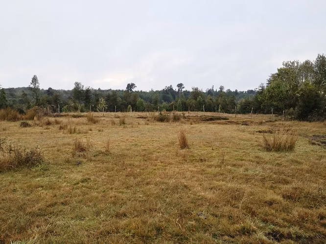 ¡Últimos 3 lotes con electricidad en Costa Los Navegantes, Chiloé