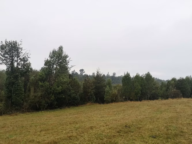 ¡Últimos 3 lotes con electricidad en Costa Los Navegantes, Chiloé