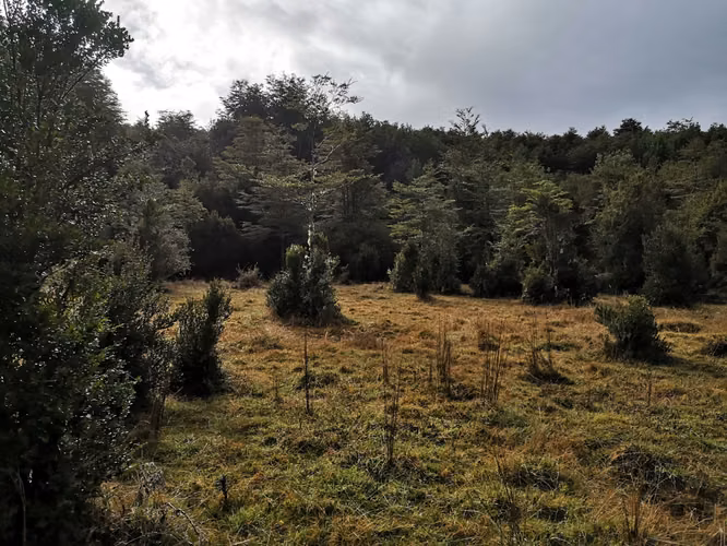 ¡Últimos 3 lotes con electricidad en Costa Los Navegantes, Chiloé