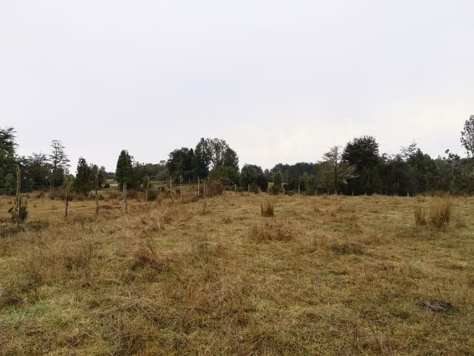 ¡Últimos 3 lotes con electricidad en Costa Los Navegantes, Chiloé