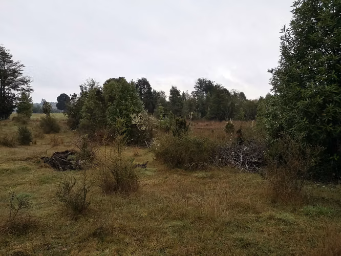 ¡Últimos 3 lotes con electricidad en Costa Los Navegantes, Chiloé