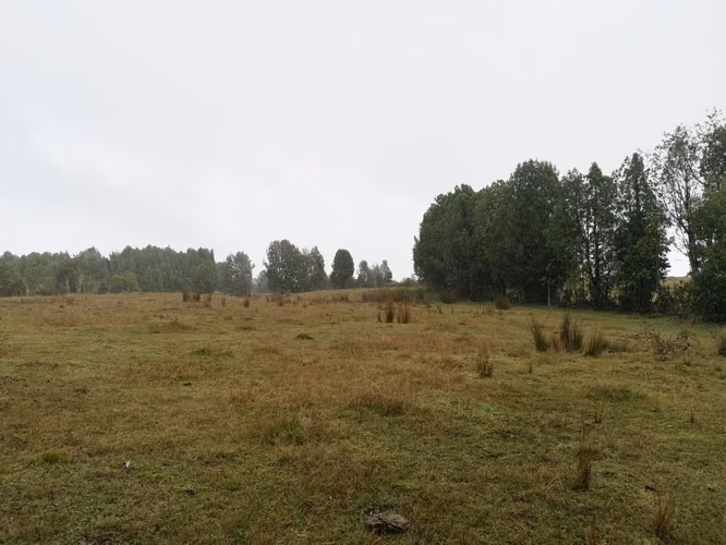 ¡Últimos 3 lotes con electricidad en Costa Los Navegantes, Chiloé
