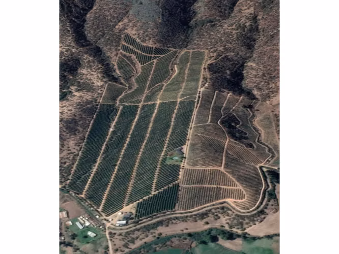 Inversionistas, Terreno De 85 Hectáreas En Culiprán