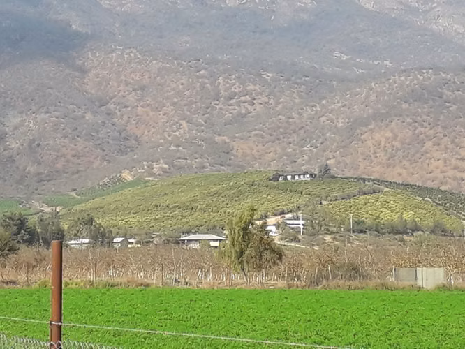 Inversionistas, Terreno De 85 Hectáreas En Culiprán