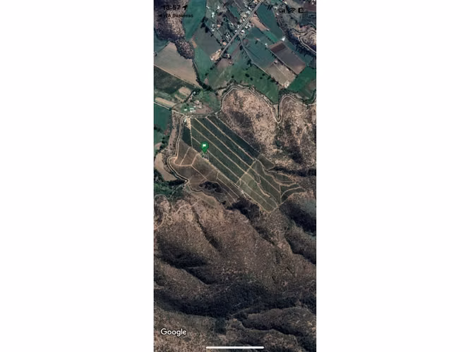 Inversionistas, Terreno De 85 Hectáreas En Culiprán