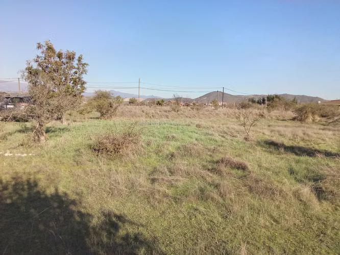VENTA PARCELA 5000MTS Quillota