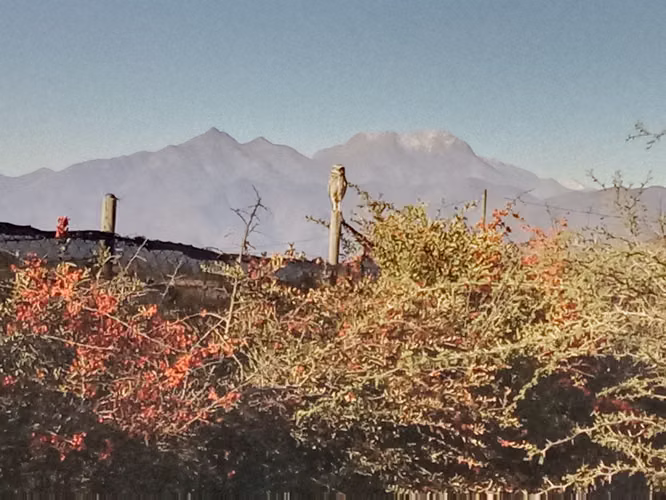 VENTA PARCELA 5000MTS Quillota