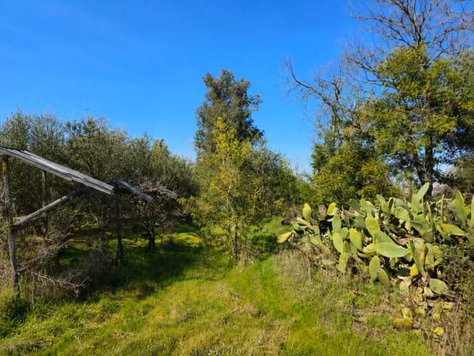 EN VENTA CASA Y PARCELA RUTA J 40, CAMINO A COMALLE. TENO