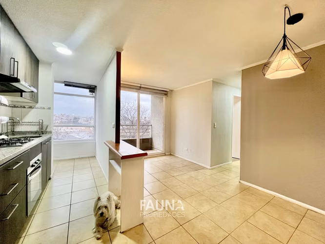 Vista Despejada - Metro Gruta Lourdes - 3 Meses a $340.000
