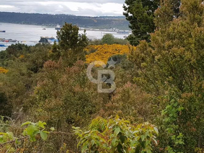 Parcela en Chinquihue Alto, Puerto Montt - Imagen 12