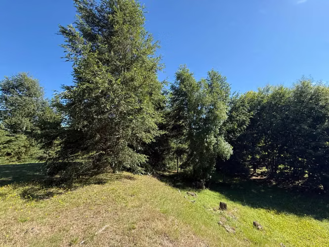 Parcela en venta de 5000m2 ubicado en Camino a Villarrica