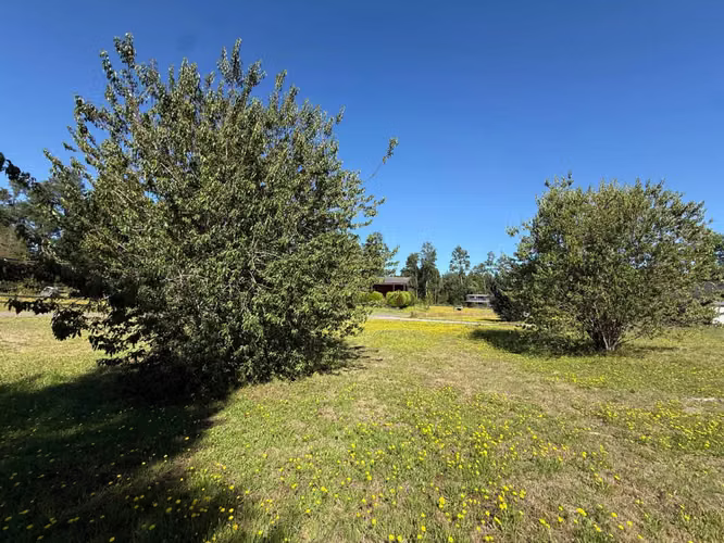 Parcela en venta de 5000m2 ubicado en Camino a Villarrica