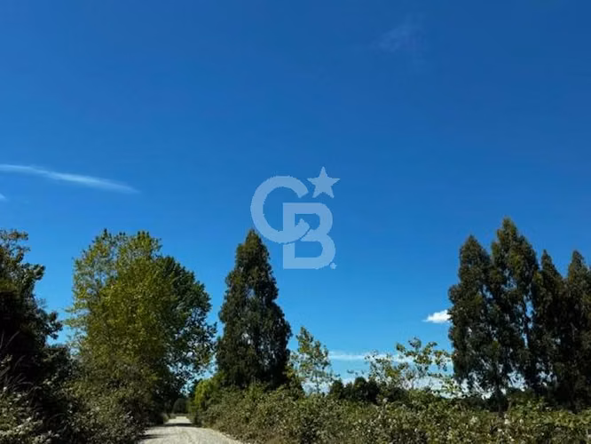 Rebajada!! con agua y luz a minutos del centro de Braunau. - Imagen 16