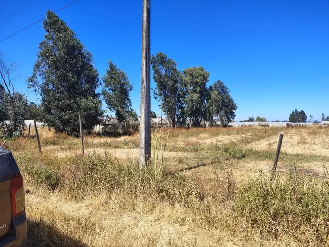 Parcela en Maule de 1 hectarea