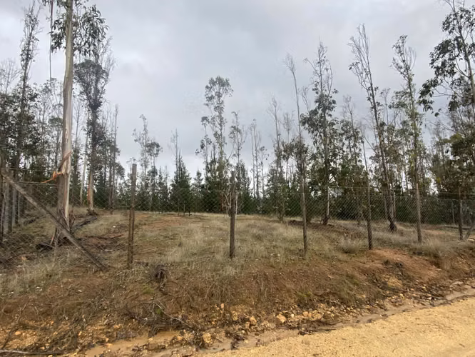OPORTUNIDAD: Hermosa parcela en Pichilemu sector La Palmilla