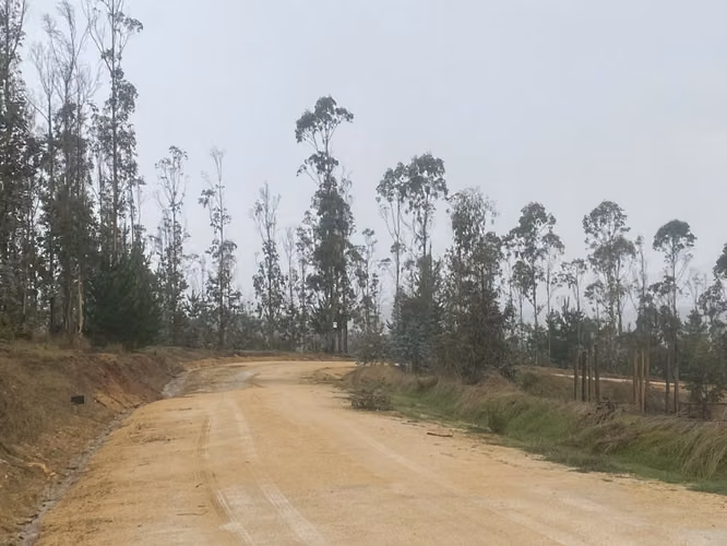 OPORTUNIDAD: Hermosa parcela en Pichilemu sector La Palmilla