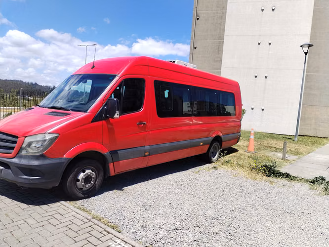 Minibus Mercedes Benz 515 2019