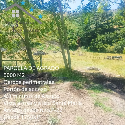 Parcelas en Arauco desde $62 millones (139894) - Imagen 17