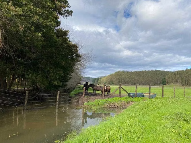 Parcelas en Arauco desde $62 millones (139894)
