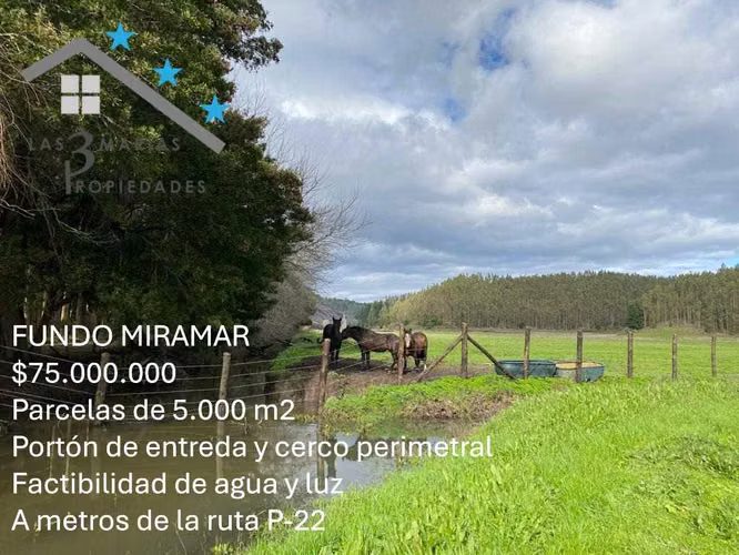 Parcelas Cerca de Playa y Ruta Principal (139894)