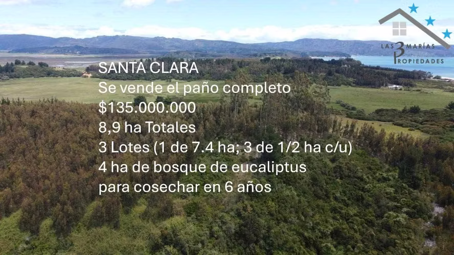 Parcelas Cerca de Playa y Ruta Principal (139894)