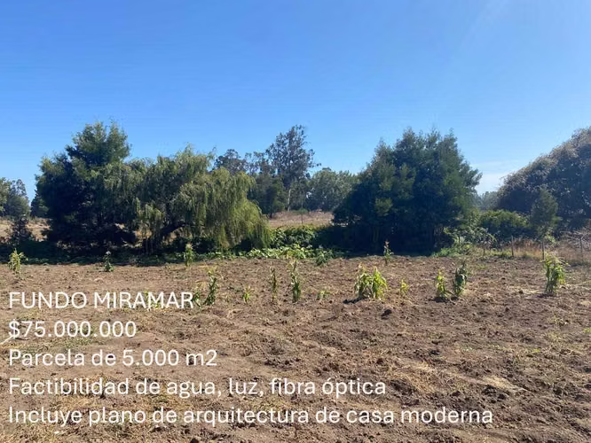 Parcelas en Arauco desde $62 millones (139894) - Imagen 6