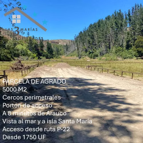 Parcelas Cerca de Playa y Ruta Principal (139894)