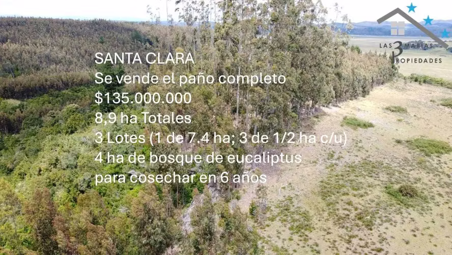 Parcelas en Arauco desde $62 millones (139894) - Imagen 13