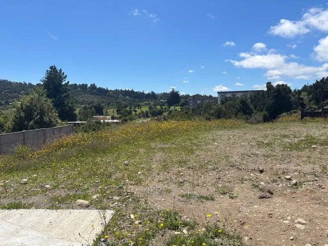 Terreno Ideal para Proyectos Únicos (140136)