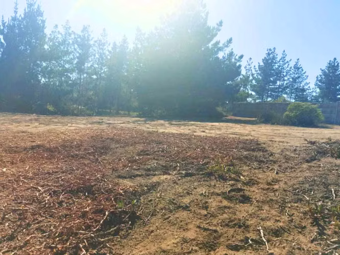 Los Pinos/Reñaca Bajo/Viña del Mar (140532) - Imagen 6