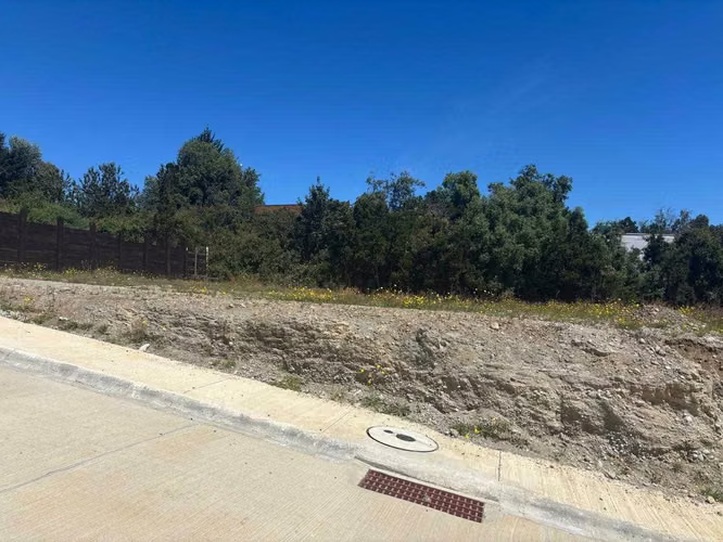 Inversión Ideal en Zona de Alta Demanda (140540)