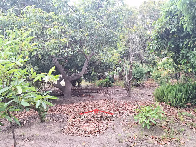 Se Vende Gran y Amplio Terreno Urbano, Paradero 14, comuna de La Cruz.
