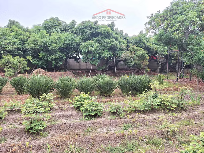 Se Vende Gran y Amplio Terreno Urbano, Paradero 14, comuna de La Cruz.