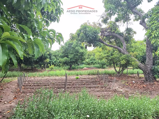 Se Vende Gran y Amplio Terreno Urbano, Paradero 14, comuna de La Cruz.