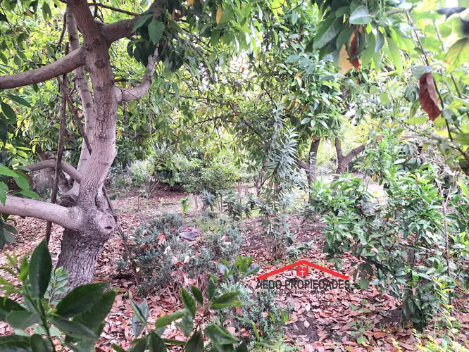 Se Vende Gran y Amplio Terreno Urbano, Paradero 14, comuna de La Cruz.