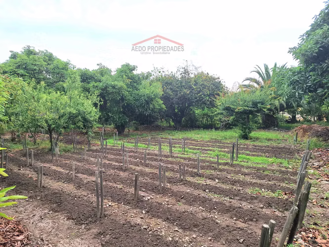 Se Vende Gran y Amplio Terreno Urbano, Paradero 14, comuna de La Cruz.