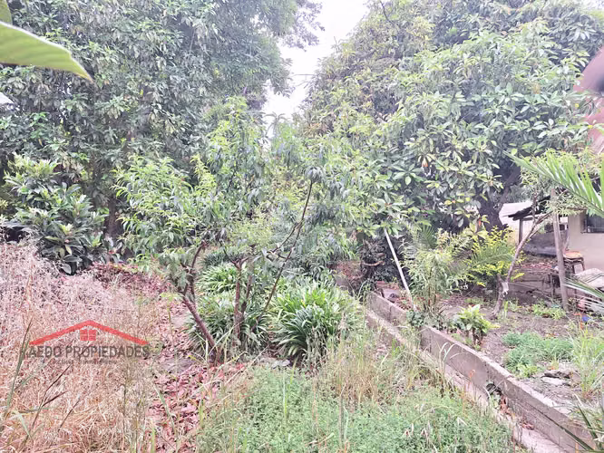 Se Vende Gran y Amplio Terreno Urbano, Paradero 14, comuna de La Cruz.