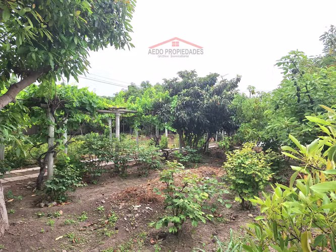 Se Vende Gran y Amplio Terreno Urbano, Paradero 14, comuna de La Cruz.