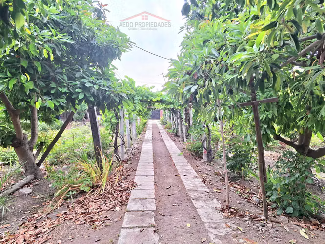 Se Vende Gran y Amplio Terreno Urbano, Paradero 14, comuna de La Cruz.