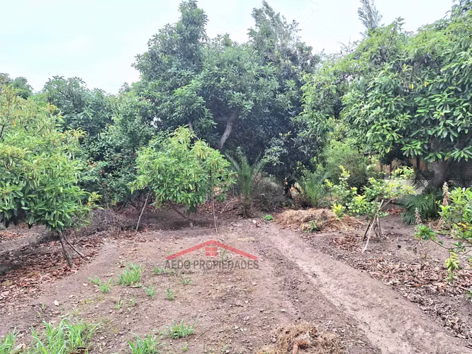 Se Vende Gran y Amplio Terreno Urbano, Paradero 14, comuna de La Cruz.