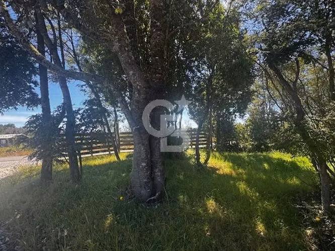 Oportunidad! parcela con agua, luz y quincho/Pto.Montt.