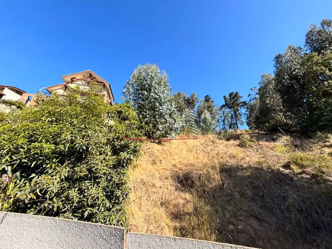 VASS vende terreno 820 m2, Martin de Salvatierra, Reñaca - Imagen 5