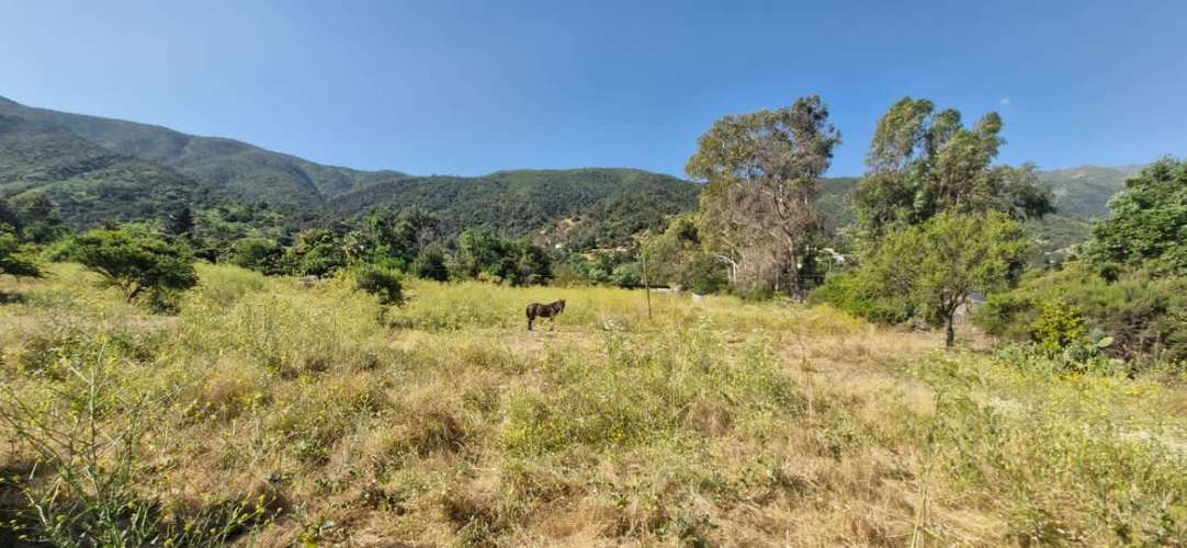 Venta de Parcela Con Casa Amoblada en Limache - Imagen 14