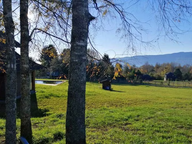 Oportunidad de Inversión en Entorno Natural (140750)