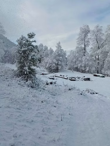 VENTA CAMPO PARA INVERSIÓN PUCÓN (141158) - Imagen 8