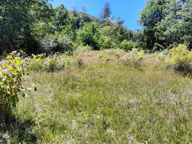 VENTA CAMPO PARA INVERSIÓN PUCÓN (141158) - Imagen 24