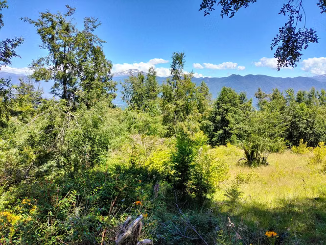 VENTA CAMPO PARA INVERSIÓN PUCÓN (141158) - Imagen 6
