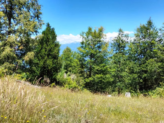 VENTA CAMPO PARA INVERSIÓN PUCÓN (141158) - Imagen 10